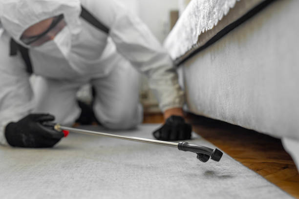 Professional Cockroach Control technician working in Lloyd Harbor, NY